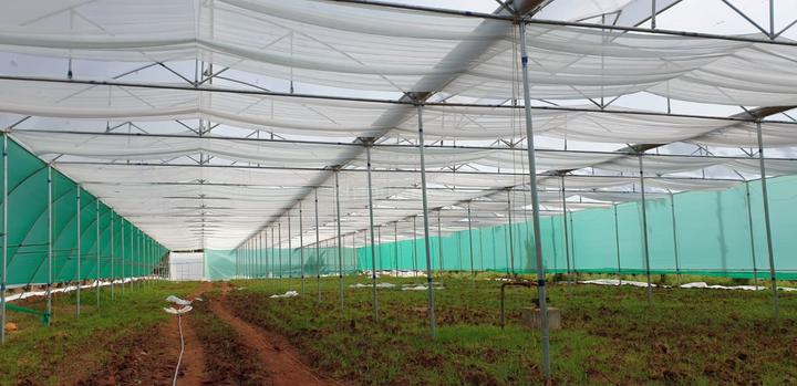 Denkanikottai Main Image 1