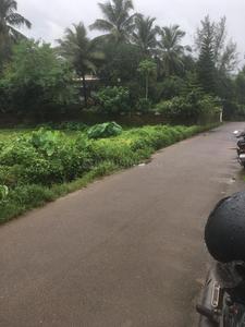 Residential Plot