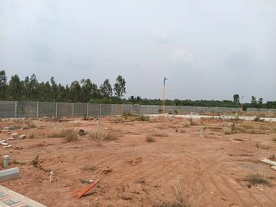Residential Plot