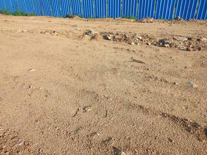 JB Serene County Main Image 1