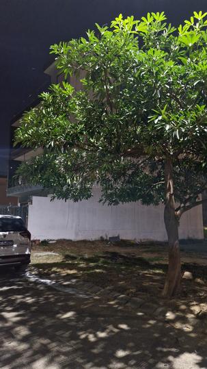 Wave City Plots Main Image 1