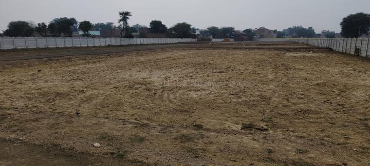 krishna farm Main Image 1