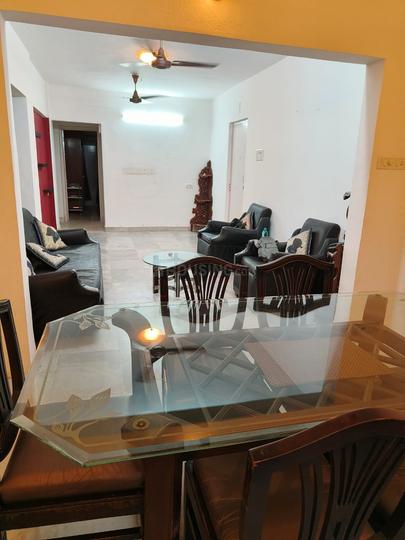 Alcon Acacia Main Image 1