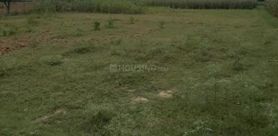 Image of 2700 Sq.ft Residential Plot / Land for sale in Pathauli Village, Agra for Rs. 18000000