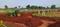 Ocean Air City Plot View 2