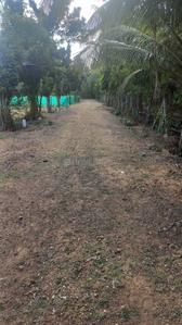 Image of 3028 Sq.ft Residential Plot / Land for sale in Kadappakkam, Chengalpattu, Chennai for Rs. 2120000