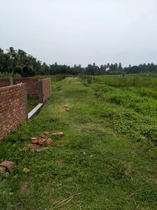 Nest Valley Internal Roads 1