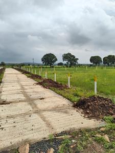 Agricultural Land
