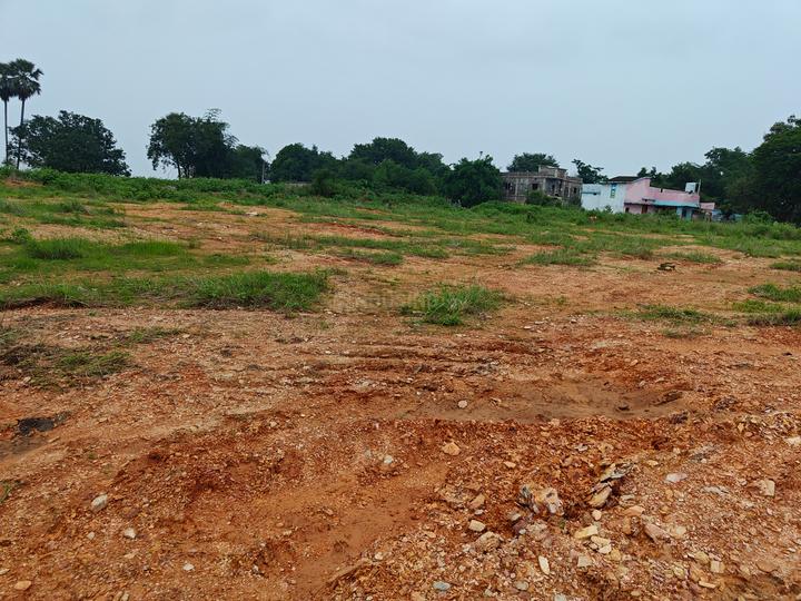 Panchagochhia Main Image 1