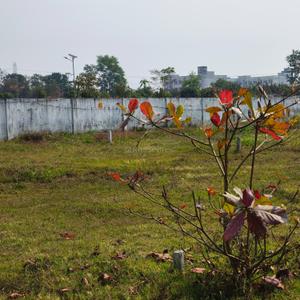Image of 2200 Sq.ft Residential Plot / Land for sale in BJB Nagar, Bhubaneswar for Rs. 23100000