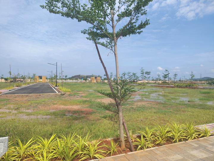 Nutech Inscape Main Image 1