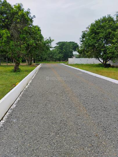 Nenmeli, Chengalpattu Main Image 1