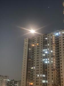 Image of 900 Sq.ft 2 BHK Apartment / Flat for rent in Kolte Patil Life Republic Sector R16 16th Avenue Arezo, Hinjawadi, Pune for Rs. 25000
