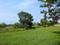 Golden city 2 Plot View 2