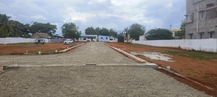 Belladhi Main Image 1