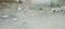 Asrawad Khurd Main Image 1