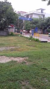 Yeida Plot View 1