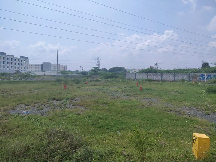 Sameera New Blossom Main Image 1