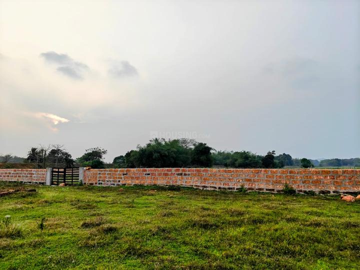 Rasulgarh Main Image 1