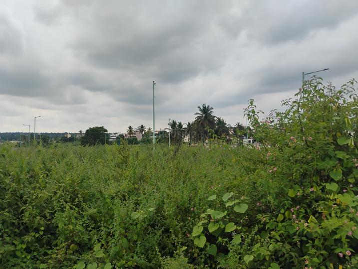 Kommaghatta Main Image 1