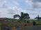 Fortune Green Valley Main Image 1