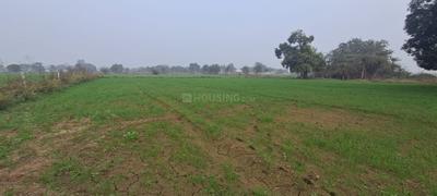 Agricultural Land