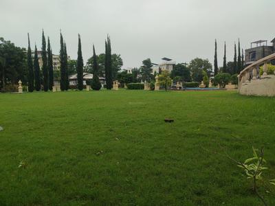 Residential Plot