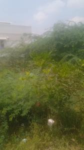 Vayalur Plot View 2