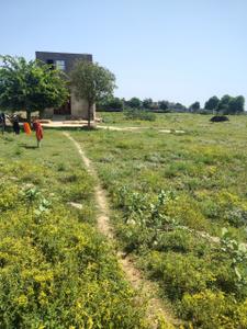 Image of 450 Sq.ft Residential Plot / Land for sale in Shri Kishanpura, Chaksu, Jaipur for Rs. 400000