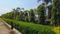 MEGA TOWNSHIP Plot View 2