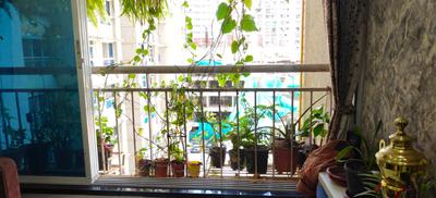 Balcony Image of 480 Sq.ft 1 BHK Apartment / Flat for rent in Royal Oasis, Malad West Mumbai for Rs. 42000