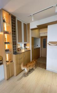 Hall Image of 1300 Sq.ft 2 BHK Apartment / Flat for sale in  Apollo DB City, Nipania Indore for Rs. 14000000