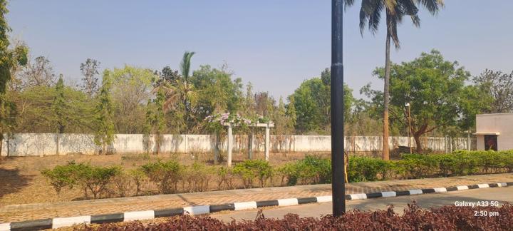 Stringles  Main Image 1