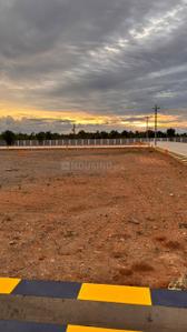 Image of 1200 Sq.ft Residential Plot / Land for sale in KK Nagar, Tiruchirappalli for Rs. 2927600