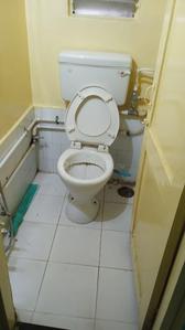 Bathroom Image of Luxury PG in Aundh, Pune