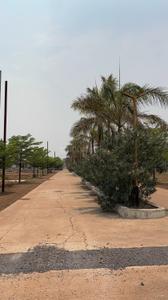 Image of 590 Sq.ft Residential Plot / Land for sale in Aranya City Of Woodland, Pacheda 1, Raipur for Rs. 531000