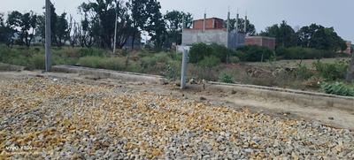 Image of 1000 Sq.ft Residential Plot / Land for sale in Sarojini Nagar, Lucknow for Rs. 1950000
