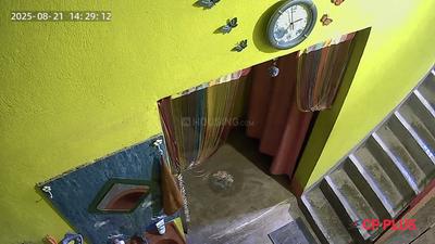 Image of 710 Sq.ft 1 BHK Independent House for rent in Gola Road, Patna for Rs. 3500