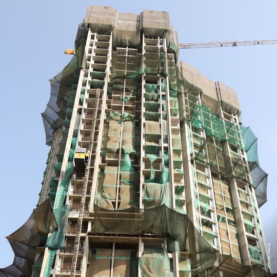 Treesourus Main Image 1