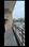 Balcony Image of OM Homes Gils PG in Sector 86, Noida
