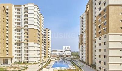 Image of 1610 Sq.ft 3 BHK Apartment / Flat for sale in Sobha Neopolis, Panathur, Bengaluru for Rs. 27500000
