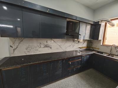 Kitchen Image of 1750 Sq.ft 3 BHK Builder Floor for rent in Sector 122 Noida for Rs. 36000