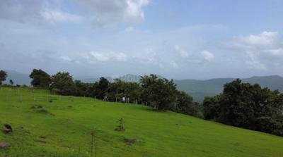 Image of 10000 Sq.ft Residential Plot / Land for sale in Khandad, Raigad for Rs. 350000