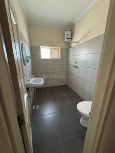 Bathroom Image of 1200 Sq.ft 1 BHK Builder Floor for rent in Sector 59 Mohali for Rs. 20000
