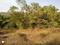 Khed Shivapur Main Image 1