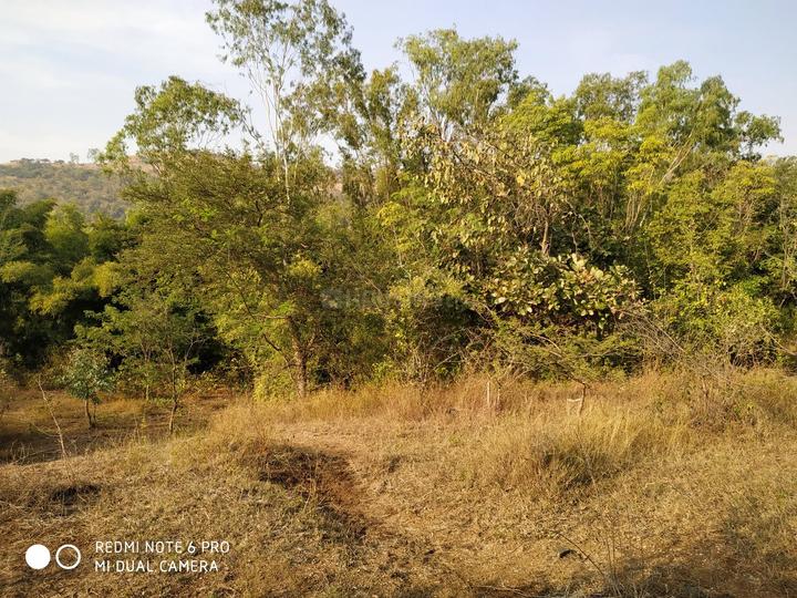 Khed Shivapur Main Image 1
