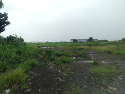 Residential Plot