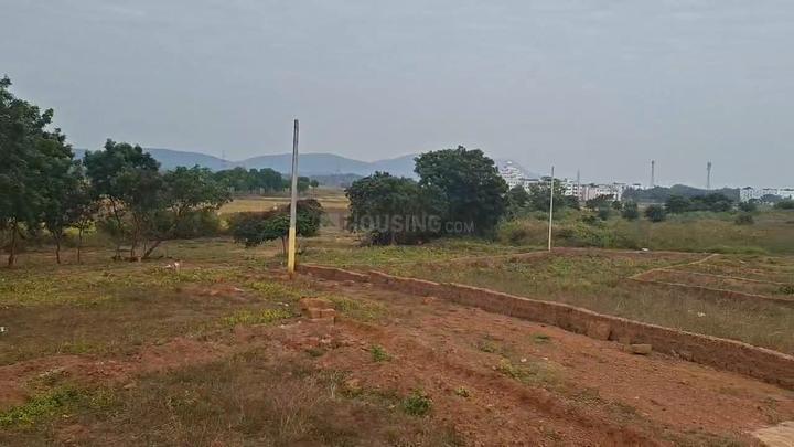 shine city Main Image 1