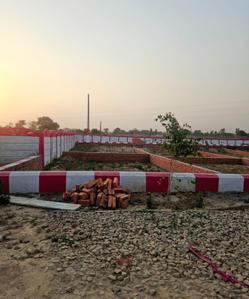 Paras 2 Plot View 1