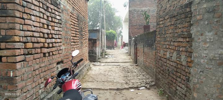 Parao Main Image 1